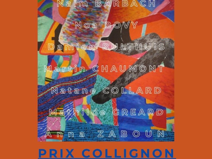 EXPOSITION – 10e PRIX Georges COLLIGNON